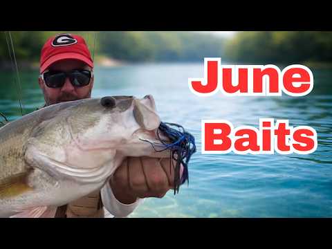 Catch Giant Bass on these June Baits