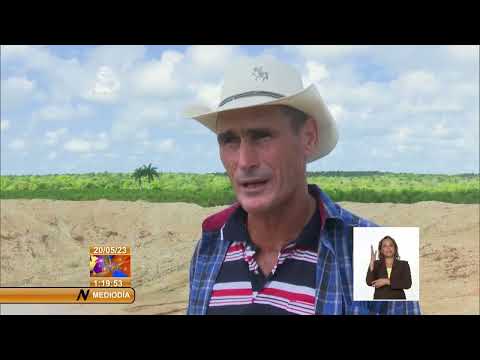 Cuba/Sancti Spíritus: Campesino recupera tierras ociosas para la producción agropecuaria