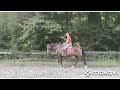 Dressage horse Everdale - Krack C ruin