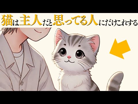 猫の動画サムネイル - 【猫が主人だと思ってる人にだけする行動】 猫の雑学
