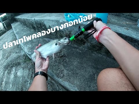 Gone-Fishing---วันฟ้าครึ้มกับป Gone-Fishing---วันฟ้าครึ้มกับป