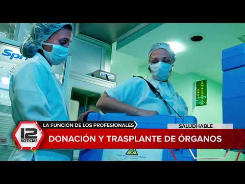 Saludhable: Donación y trasplante de órganos, la función de los profesionales de la salud