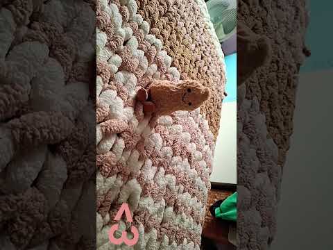 #jellycat #jellycatcollection