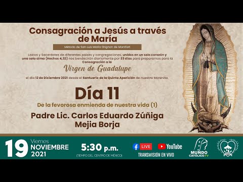 Consagración a Jesús a Través de María - Día 11