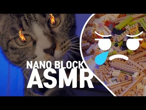 [ASMR] 나노블럭 만드는데 고양이가..