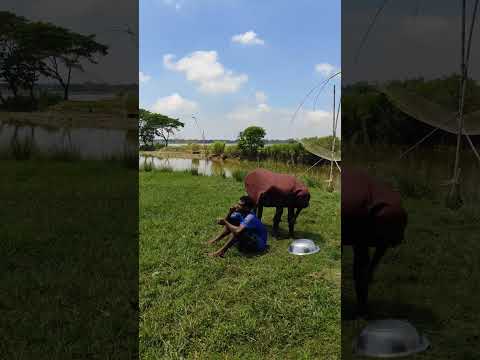 #new #ekmotahathighumechala #funny #comedyfilms #whowillbemylifepartnerta #foryou