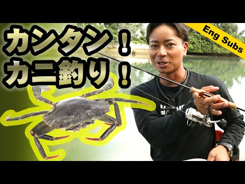 簡単！カニ釣りの方法 | Super Easy Crab Fishing