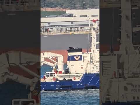 Mipo's daily life  -  108