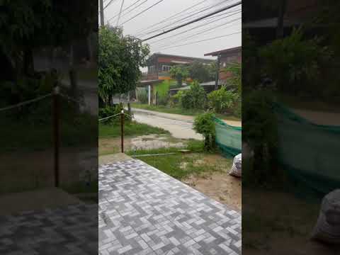 พายุมาแล้ว-ฝนตกทั้งวัน พายุมาแล้ว-ฝนตกทั้งวัน