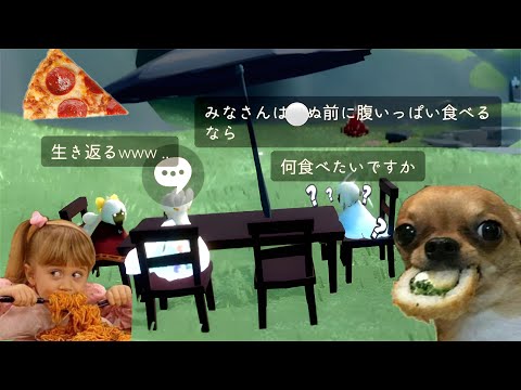 【Sky日常スカスタ】いろんなハプニングが起こる平和な草原ホームで雑談する星の子達