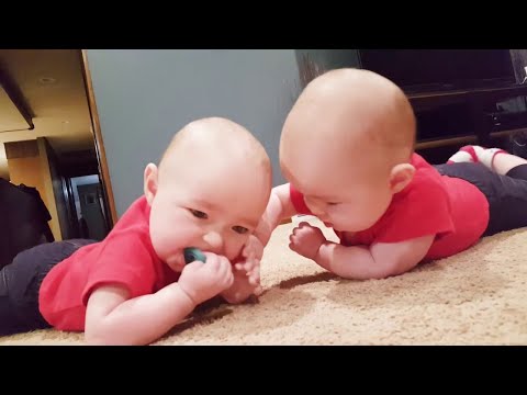 Funniest Twin Baby Videos that will make your whole day happy! - Funny Baby Videos 2020