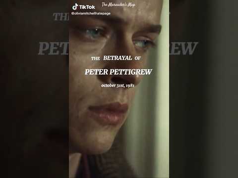 ~The Betrayal of Peter Pettigrew~ #harrypotter #marauders #peter #peterpettigrew #betrayal #shorts