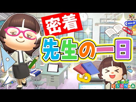 【あつ森】小学校の先生一日ルーティン【あつまれどうぶつの森】ゆっきーGAMEわーるど