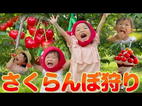ついに実現✨山形で本場のさくらんぼ食べてきた🍒