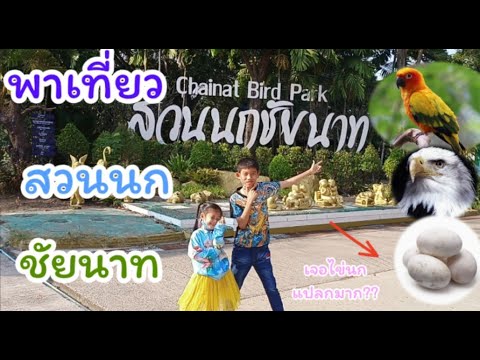 Bangsocool|พาเที่ยวสวนนกชัย