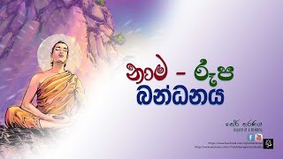 නාම රූප පිළිබද විග්‍රහයකි