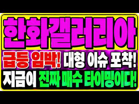 [한화갤러리아 주가전망]  거래량 <strong>200</strong>% 미쳤다! 2,675원 뚫으면 어디까지 갈까?