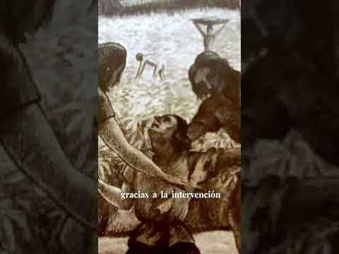 Caciques Históricos de Boriquén ( Baguanamey)  #puertorico #tainos #historiadepuertorico #fyp