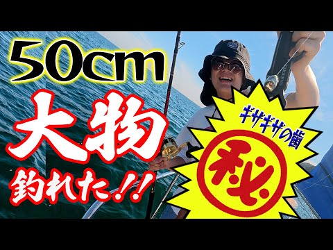 【閲覧注意!?】釣り上げたのは歯がキモい?人面魚だった!