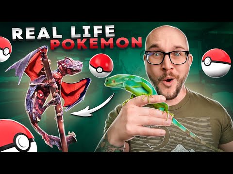 5 Real Life Pokémon You Can ACTUALLY OWN! Pokémo Use WWR55 to get 55% off your first month at Scentbird  https_//sbird.co/3LsTEHK 
This month I recei