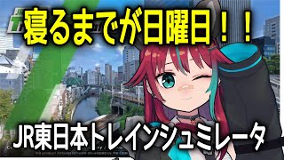 【 JR東日本トレインシミュレーター 】寝るまでが日曜日だよー！！寝たくない人おいで【犬丸じゃじゃみ/Jajami Vtuber】＃Vtub