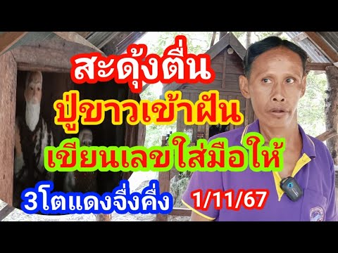 สะดุ้งตื่นปู่ขาวเข้าฝันเขียนเล