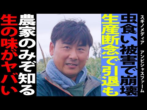 【大不作】8割が害虫の被害にあった糖度MAXトウモロコシを育てる農家に会うと、苦労が見えました…。