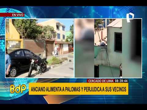 Cercado de Lima: anciano alimenta a palomas y perjudica a vecinos (1/2)