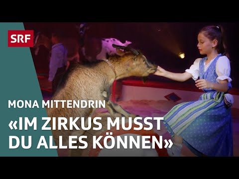 Leben im Zirkus – Zusammenhalt zwischen harter Arbeit und Überlebenskampf | Mona mittendrin 23 | SRF