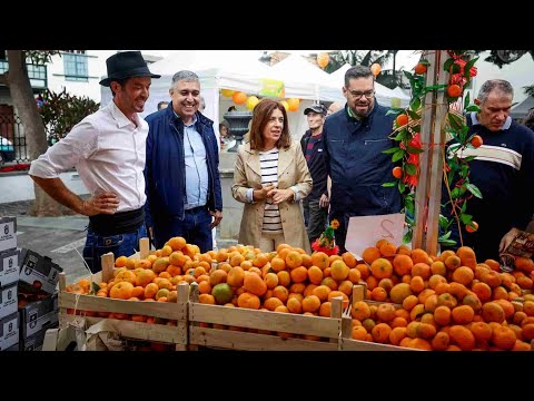 4,5 toneladas de naranjas vendidas en la Feria de Telde