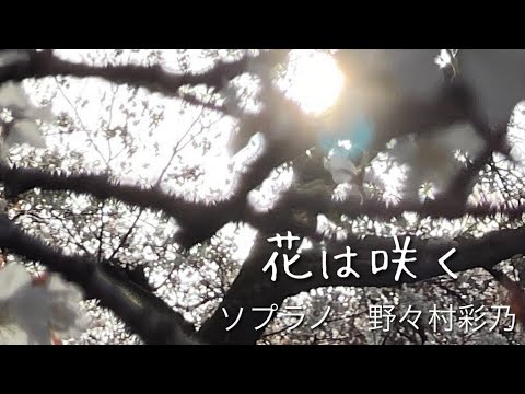 花は咲く「花は咲くプロジェクト」歌/野々村彩乃　作詞/岩井俊二 作曲/菅野よう子