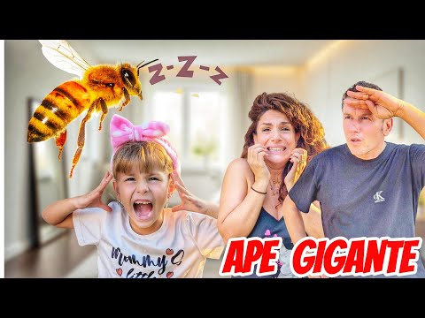 UN'APE GIGANTE È ENTRATA N CAMERA DI AURORA NELLA VITA REALE! #capitandadeaurora 