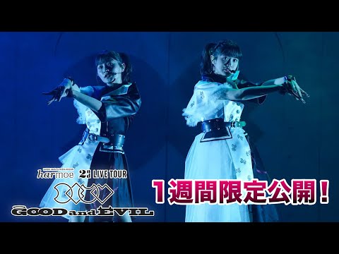 【1週間限定公開！】harmoe 2nd LIVE TOUR「GOOD and EVIL」ライブ映像全編公開