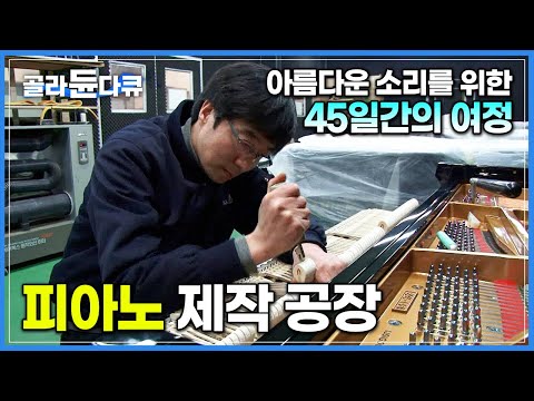 흔한 나무판자가 아름다운 소리를 내는 악기가 되기까지│숙련공들의 피땀이 담긴 피아노 제작 과정│인도네시아 피아노 공장│극한직업│#골라듄다큐