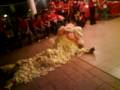 chicken99my
