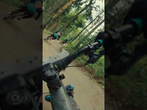 Partylaps #emtb #geisskopf #focusbikes