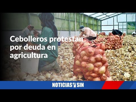 #SINyMuchoMás: Turismo, protesta y denuncias