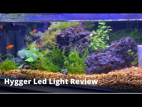 Unlocking Your Underwater World (Hygger Light Revi I have never stopped to think of why we use lights over our aquarium and truly what the benefits are