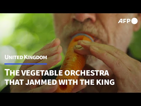 London Vegetable Orchestra still thriving after jam with King Charles III | AFP
