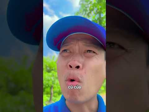 Quan điểm thần cây ĐA ma cây GẠO #tuanbonsai #cây_đa