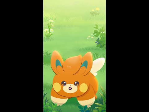 【公式】アニメ「パモパモットパーモット！」【POKÉTOON】