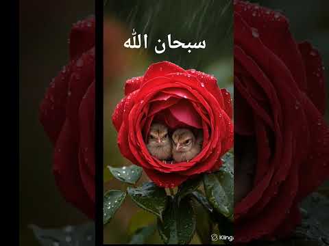 🌹انظر اين وضعت صغارها لتحميهم !