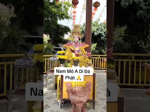 KHÔNG OÁN HẬN CŨNG KHÔNG MANG HẬN THÙ. NAM MÔ A DI ĐÀ PHẬT