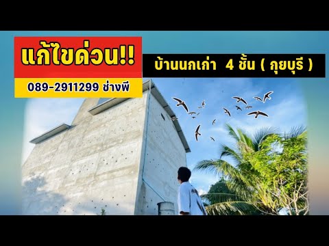 แก้ไขปัญหาบ้านนกเก่าแบบเร่งด่ว