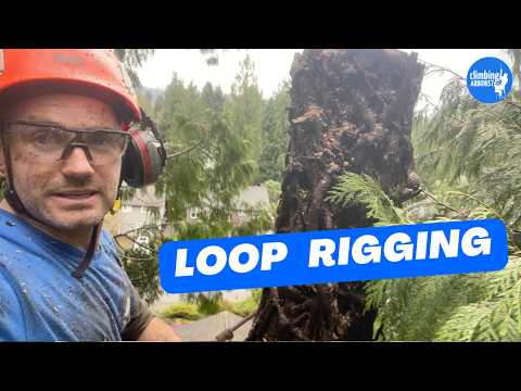 Loop rigging - The most simple and effective rigging system you've never tried - Arborist techniques