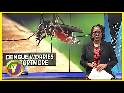 Dengue Fears in Portmore Jamaica | TVJ News - Sept 10 2021