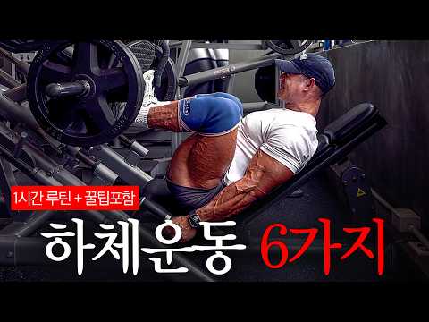 스쿼트 없이 하체 제대로 키우는 운동 6가지 I <strong>시합</strong> 전 마지막 하체운동