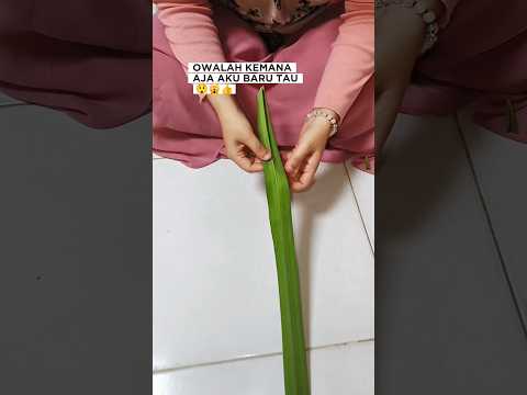 tips bikin buket mini dari daun pandan #tipsandtricks #lifehacks