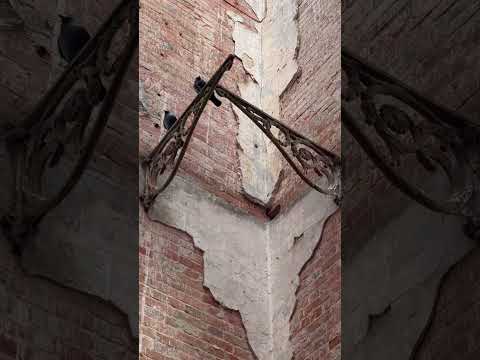 Заброшенная усадьба Мальцевых в Тульской области