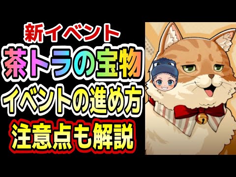 【P5X】『茶トラの宝物』取りこぼしには気をつけて！ウマウマ報酬全回収しましょう